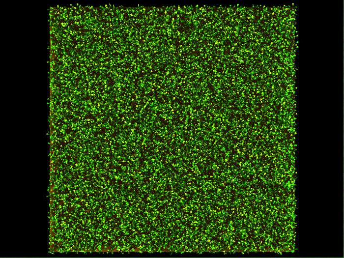 Simple Grass Cover 1