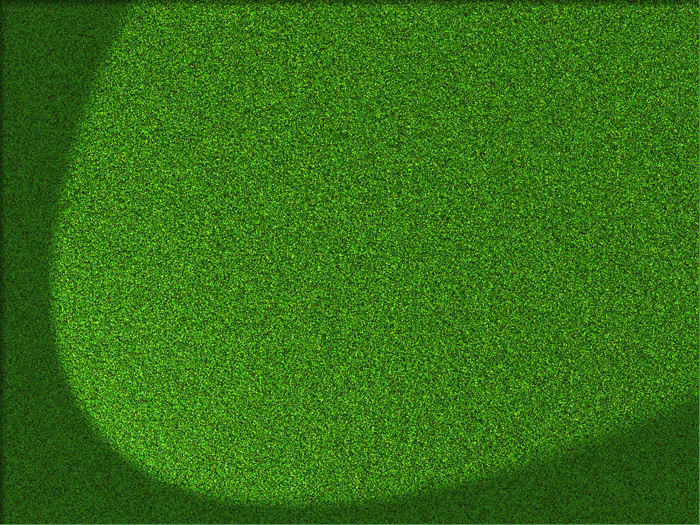 Simple Grass Cover 2